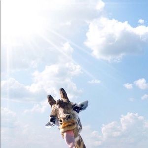 Meet your Posher, Ava